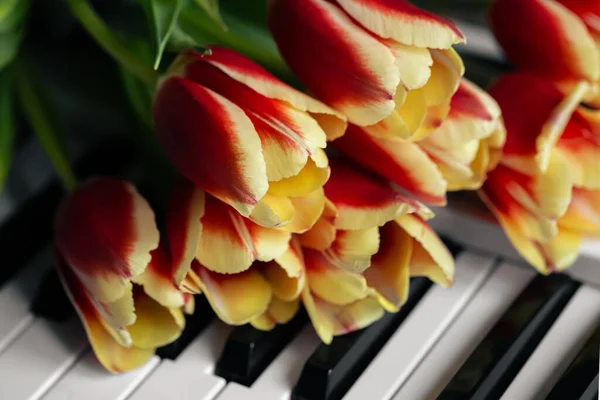 钢琴琴键上的一束美丽的郁金香 春天的概念 音乐背景 — 图库照片