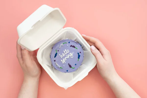 Lezzetli bento keki ile plastik beslenme çantası. Pembe arka planda, üst manzaralı kadın ellerinde bahar..