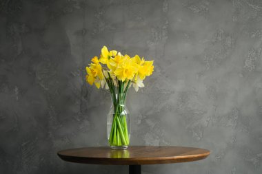 Bahar Büyüsü. Nötr Gri Duvara Karşı Sarı nergisli Cam bir vazo, boşluğu kopyala.