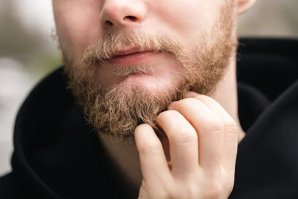 A touch on his perfect beard. Close-up of a young bearded man smiling and touching his blond beard.