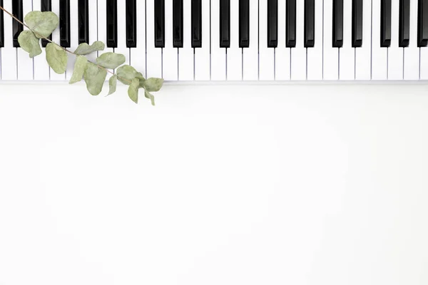 Музыкальная Клавиатура Белом Фоне Плоский Уголок Пространство Текста Минималистический Музыкальный — стоковое фото