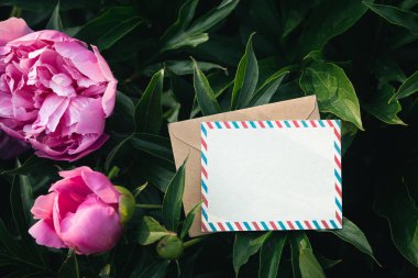 Yeşillikler arasındaki pembe şakayık ağacının arka planında boş bir tebrik kartı ve el işi zarfı. Yazı, üst görüş alanı, kopyalama alanı olan şenlikli bir arka plan..