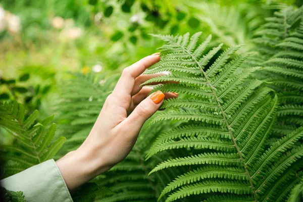 Kobieca Ręka Pomarańczowym Manicure Delikatnie Dotyka Zielonych Liści Paproci Koncepcji — Zdjęcie stockowe