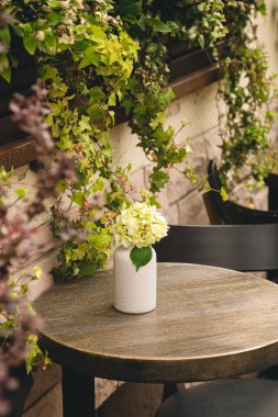 Kafelerde masa ve sandalyeler yaz terasında duvarda tırmanma bitkileri ve masalarda ortanca çiçekleri.