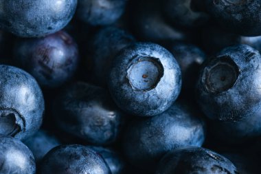 Taze yaban mersinli arka plan, yaban mersinli dokular yakın çekim, makro çekim.