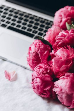 Yakın plan, pembe şakayık demeti beyaz bir yatakta dizüstü bilgisayarın klavyesinde çiçek..