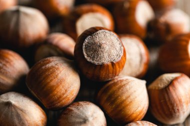 Fındık ezmesi sağlıklı organik kahverengi filbert sonbahar arkaplanı, gıda geçmişi.