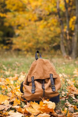 Sonbahar ormanlarında, arka planda bulanık yaprakların arasında şık bir sırt çantası, okula dönüş, seyahat ve turizm konsepti..