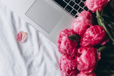 Üst manzara, bir buket pembe şakayık çiçekleri dizüstü bilgisayarda beyaz bir yatakta klavyede.