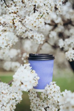 Bahçedeki çiçek açan bir bahar ağacının dalında mavi kağıt bardak. Çiçek açan ağaçlı güzel doğa sahnesi.