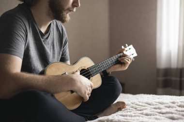 Adam gitar çalmayı öğreniyor. Online öğrenim kavramı, evde eğitim. Müzisyen yeni akorlar öğreniyor. Ukulele çalmayı öğreniyorum..