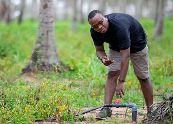 Afrika 'da akıllı tarım dijital teknoloji tarım uygulaması.