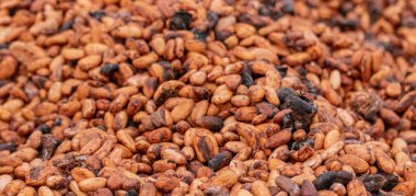 Kakao çekirdekleri kırsal bir çerçeveye yerleştirilmiş bambu paspaslar üzerine sade katmanlar halinde yayılır.,