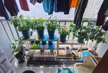 Bir kafenin içinde.