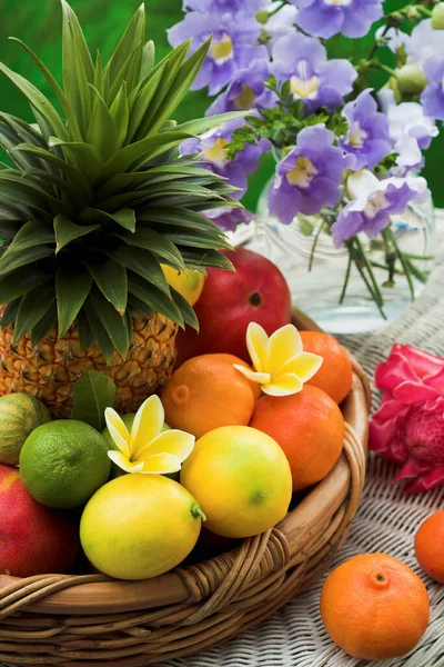 异国情调的热带水果篮 有热带花 Allamanda花在花瓶里 — 图库照片