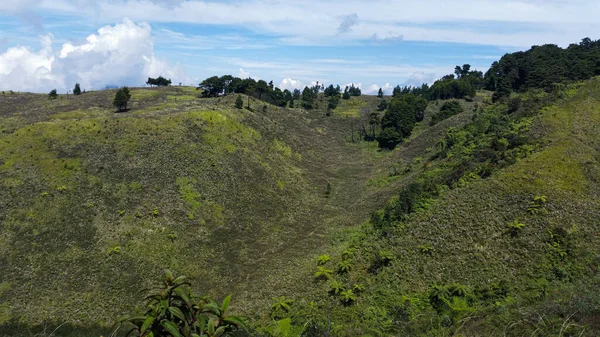 中部ジャワ州プラウ ウォノソボ山の緑の丘 — ストック写真