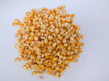 patlamış mısır yemek için mısır tohumları