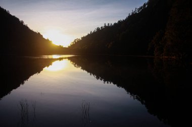 Gölde gün doğumu Ağaçların güzel yansımasıyla