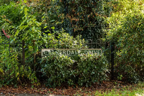 Şehirdeki yeşil park