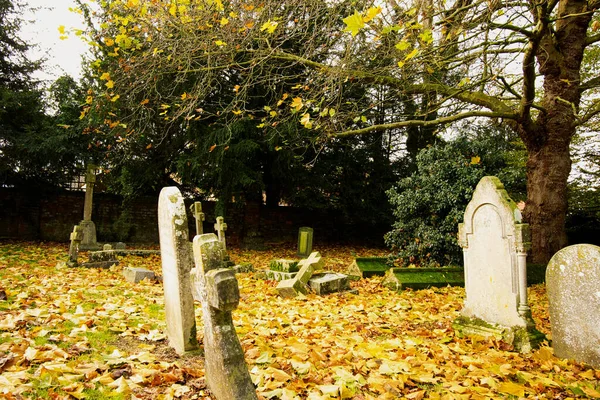 Autumn Park Old Cementary — Stock Photo, Image