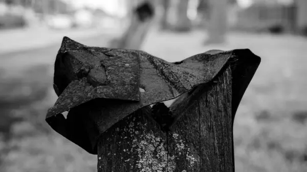 the pole in the park on the background of the town