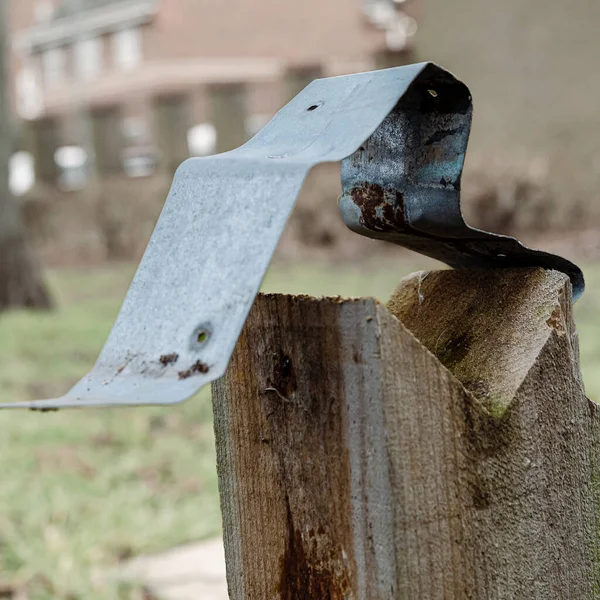 a closeup shot of a wooden pole on a tree