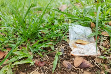 Yapraklı plastik bir torba çimlerin ve toprağın üzerinde uzanıyor, doğadaki kirliliği gösteriyor..