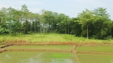 Tren penceresinden seyahat konsepti için Endonezya 'nın doğal görüntüsü