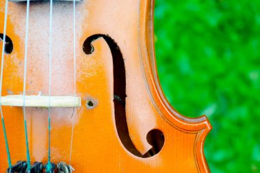 Yıpranmış ve yıpranmış bir kemanın yakın görüntüsü, ayrıntılı işçiliğini ve zamanın canlı yeşil bir zemin üzerindeki etkilerini gözler önüne seriyor. Deliğe, iplere ve eski ahşaba odaklan..