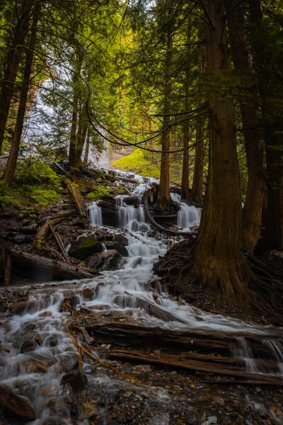 Vízesés Hegyi Pataknál Erdőben Kattintott Kanadában — Stock Fotó