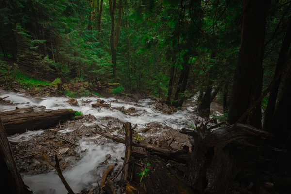 Cachoeira Córrego Montanha Floresta Clicado Canadá — Fotografia de Stock