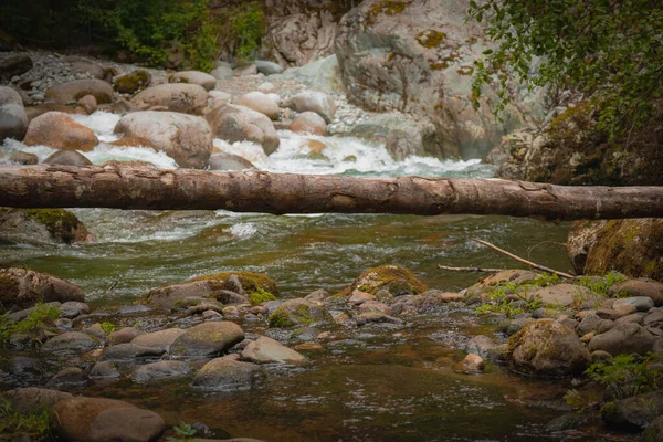 Vízesés Hegyi Pataknál Erdőben Kattintott Kanadában — Stock Fotó