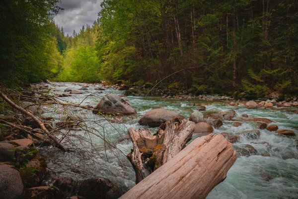 Cascade Sur Ruisseau Mountain Dans Forêt Cliquer Canada — Photo