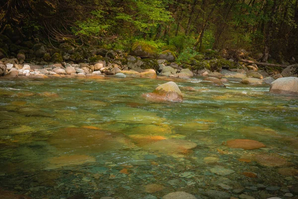 Vattenfall Fjällbäcken Skogen Klickat Kanada — Stockfoto