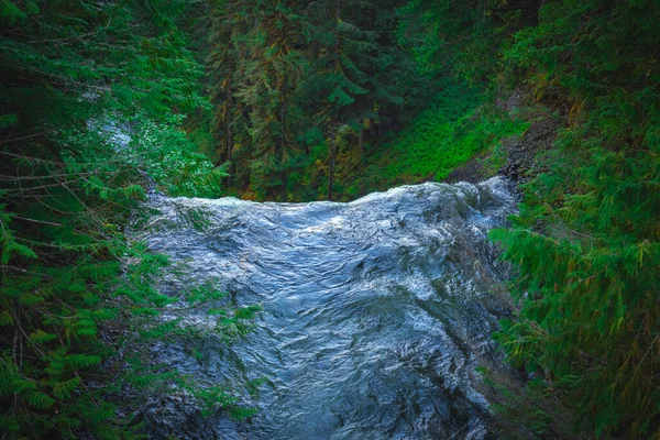 Cachoeira Córrego Montanha Floresta Clicado Canadá — Fotografia de Stock
