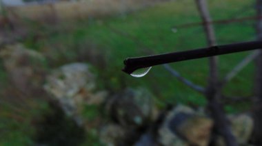 Arka planda bulanık bir yolun ortasındaki Stig 'in sonunda su damlası var.