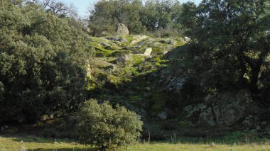 İspanyolca encina ormanındaki kayalardan bir duvar.