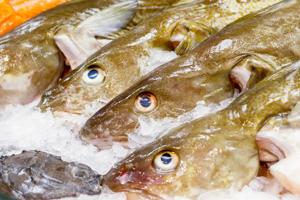 Verse Kabeljauw Ijs Koop Bij Billingsgate Fish Market Poplar Londen — Stockfoto