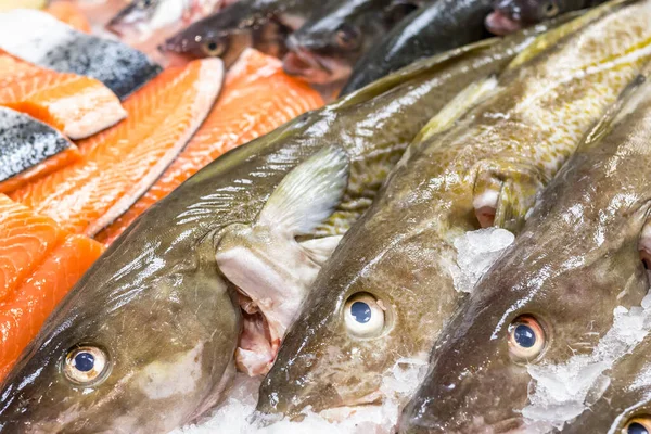Bacalao Fresco Salmón Hielo Venta Billingsgate Fish Market Poplar Londres —  Fotos de Stock