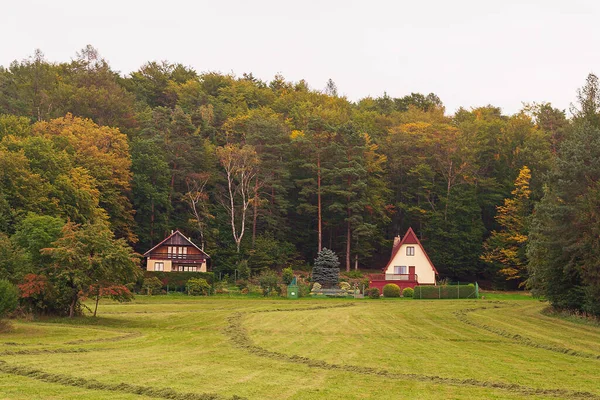 stock image beautiful autumn rural landscape with forest