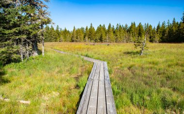 Lovrenska gölleri ve Slovenya 'da yürüyüş yolu