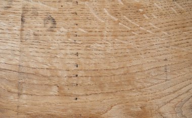 Meşe ağacı dokusu. Farklı renk ve dokulara sahip ahşap dekoru örnekleri paleti. Doğal ağaç dokusuna sahip ahşap kahverengi panel. Güzel organik desenli ahşap