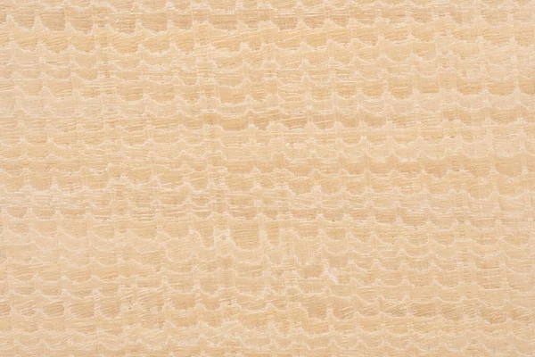 Paleta Drewnianych Próbek Dekoracyjnych Różnych Kolorach Fakturach Drewniany Brązowy Panel — Zdjęcie stockowe