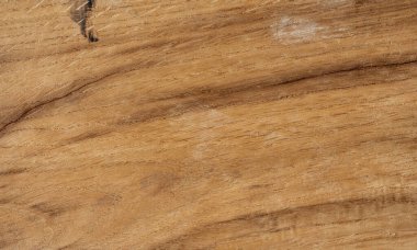 Meşe ağacı dokusu. Farklı renk ve dokulara sahip ahşap dekoru örnekleri paleti. Doğal ağaç dokusuna sahip ahşap kahverengi panel. Güzel organik desenli ahşap