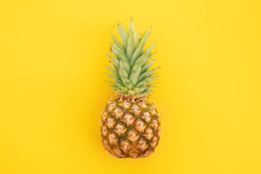 Beyaz arka planda izole edilmiş olgun ananas. Minimum düzeyde parlak ananas. Mavi arka planda taze ananaslar. Tropik meyveler. Vejetaryenlik. Yaz meyveleri.