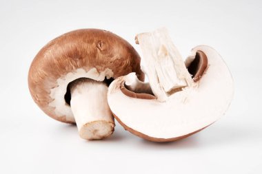 Beyaz arka planda izole edilmiş taze şampiyon mantarları..   