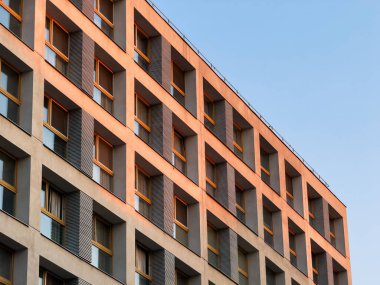 Beyaz arkaplanda siyah telefon AC şarj aleti ve USB kablosu.