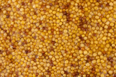 Metal kaşıkta Fransız Dijon hardalı, hardal taneciklerinin arka planda üst görünümü. Gastronomi konsepti, organik gıda. Sos. Çemberde yavaş döndürme.