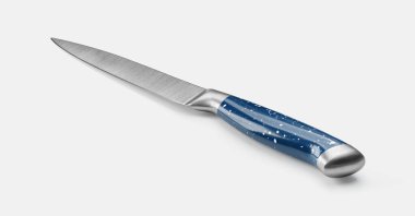 Beyaz arka planda mutfak bıçağı. Metal saplı metal mutfak bıçağı..