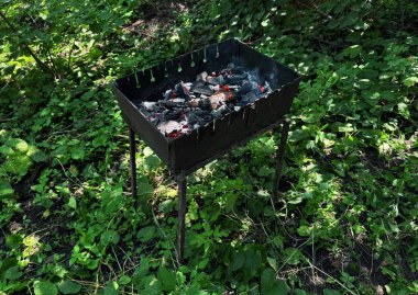 Izgara yap. Barbekü. - Et. Açık ateşte tavuk eti pişirmek. Açık hava eğlencesi